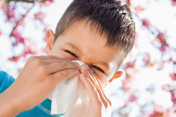 Air quality products can help you feel better during the spring allergy season