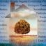 Invest in an air cleaner to remove pollutants in your home